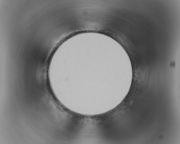 X0000113230632200910011410