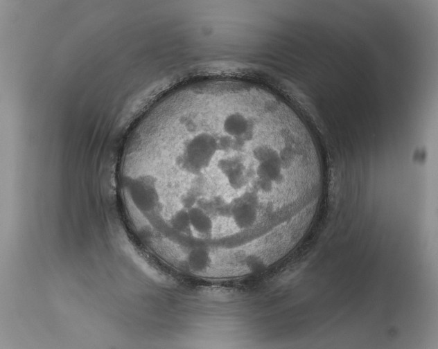 X0000113230633200910011410