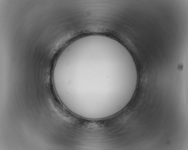 X0000113230635200910011410