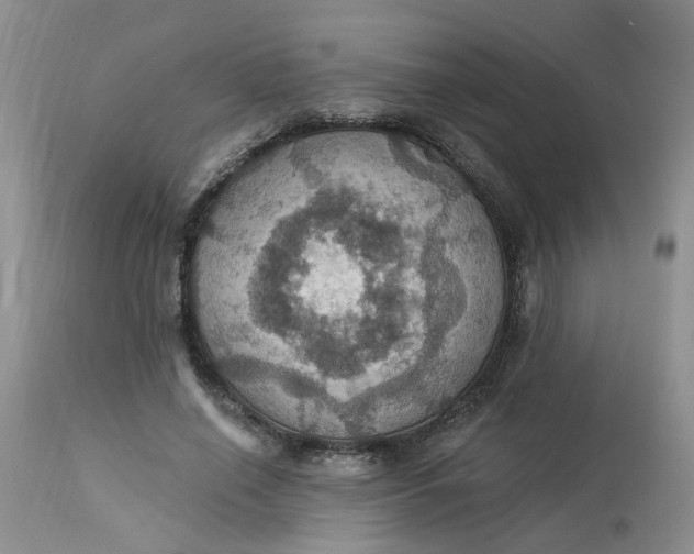 X0000113230638200910011410