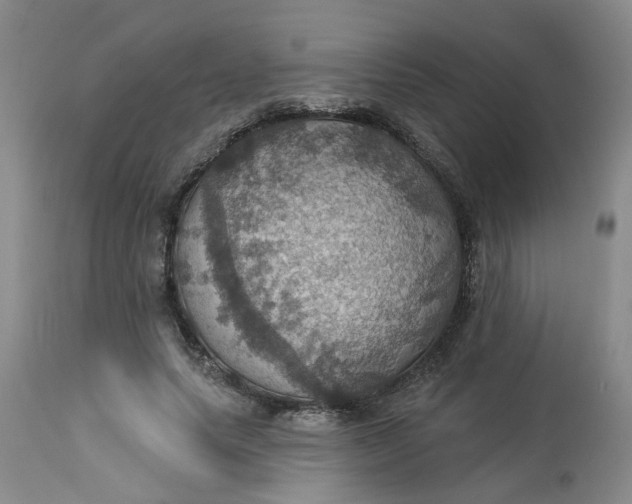 X0000113230639200910011410