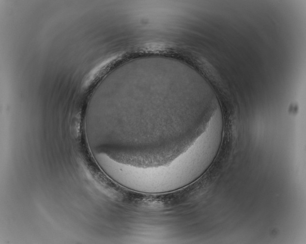 X0000113230640200910011410