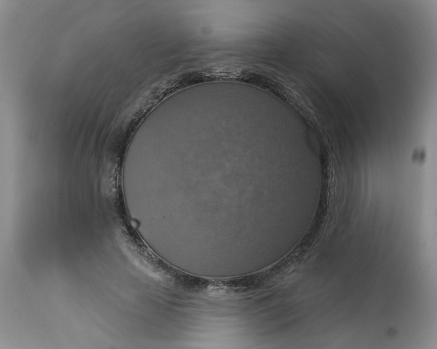 X0000113230641200910011410