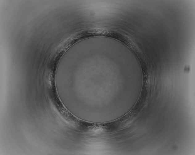 X0000113230643200910011410