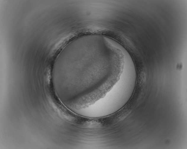 X0000113230644200910011410