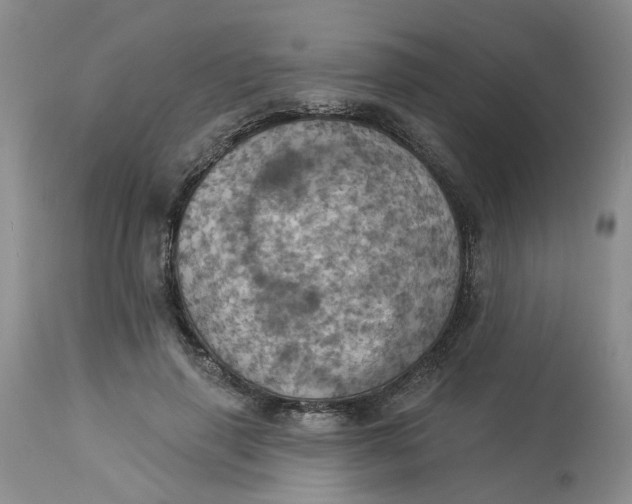 X0000113230645200910011410