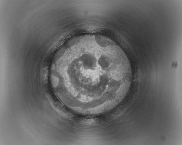 X0000113230646200910011410