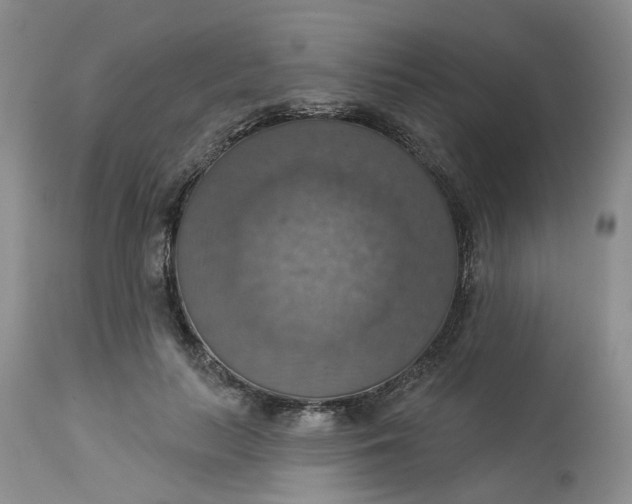 X0000113230647200910011410