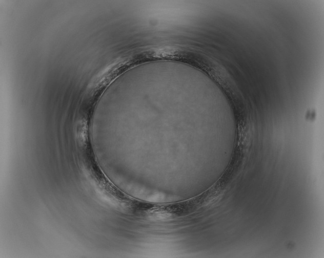 X0000113230648200910011410