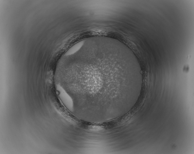 X0000113230649200910011410