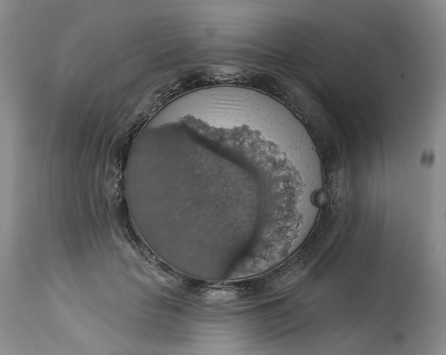 X0000113230653200910011410