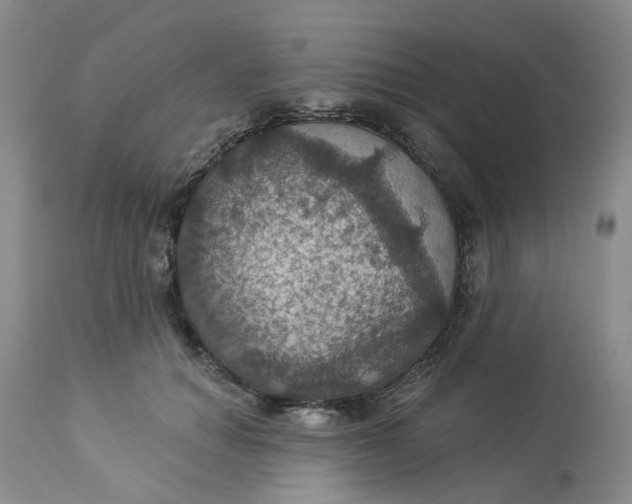 X0000113230654200910011410