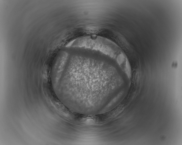 X0000113230655200910011410