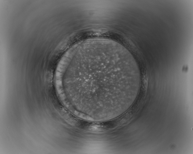 X0000113230657200910011410