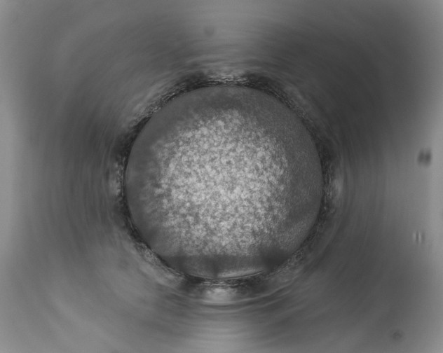 X0000113230658200910011410