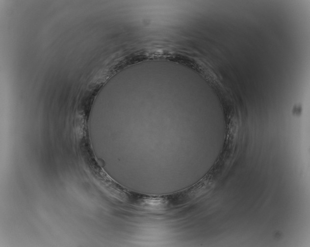 X0000113230659200910011410