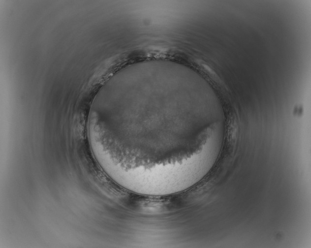 X0000113230661200910011410