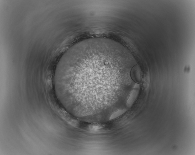 X0000113230662200910011410