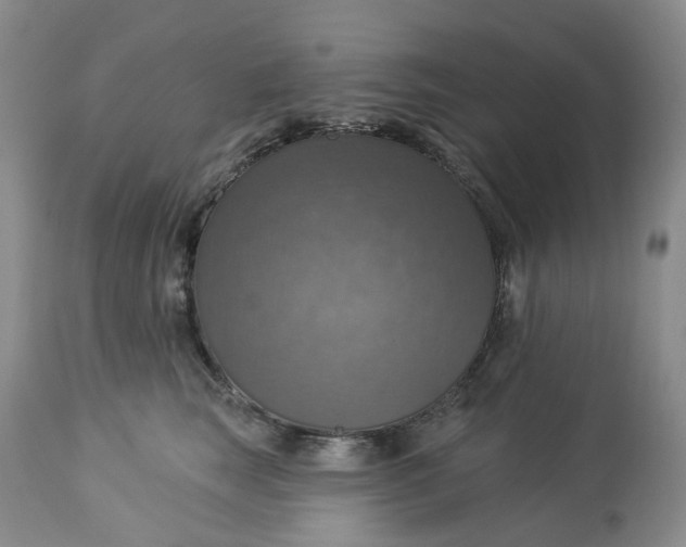 X0000113230663200910011410