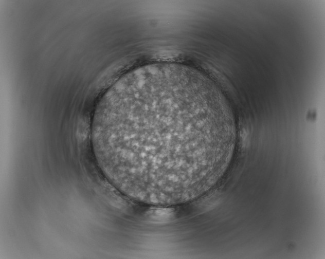 X0000113230665200910011410