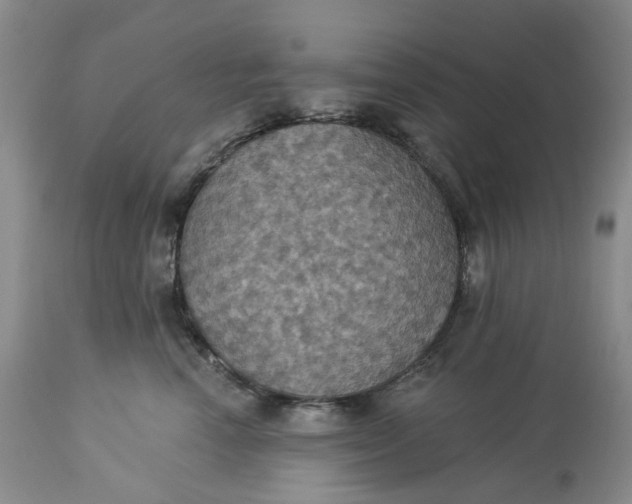 X0000113230666200910011410