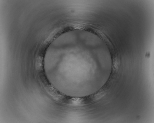 X0000113230667200910011410