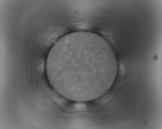 X0000113230668200910011410