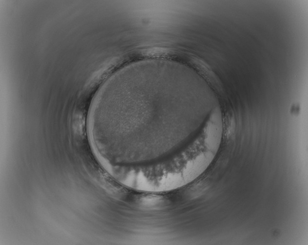 X0000113230669200910011411