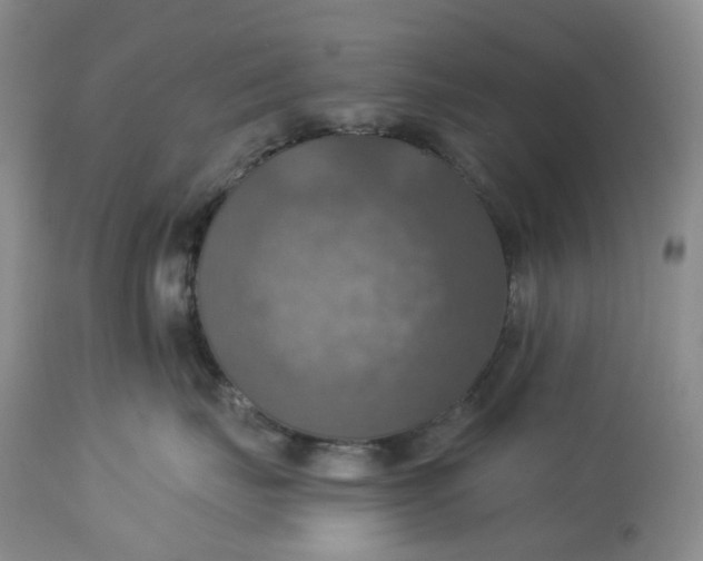 X0000113230671200910011411