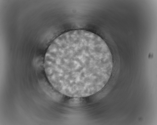 X0000113230672200910011411