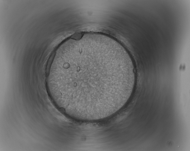 X0000113230673200910011410