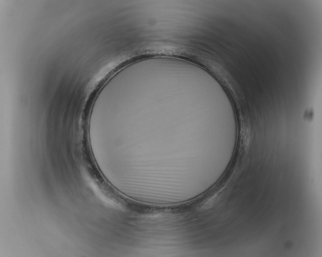 X0000113230674200910011410