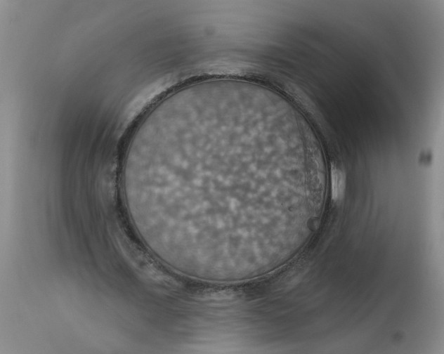 X0000113230675200910011410