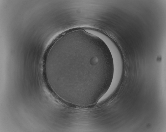 X0000113230676200910011410