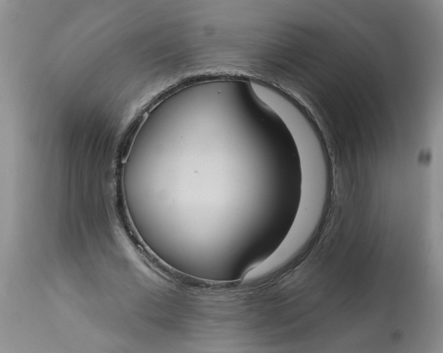 X0000113230677200910011410