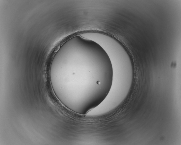 X0000113230680200910011410