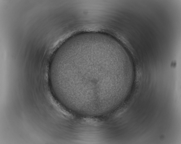 X0000113230681200910011409