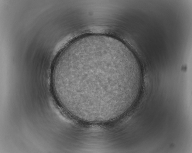 X0000113230682200910011409