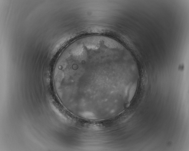 X0000113230683200910011409