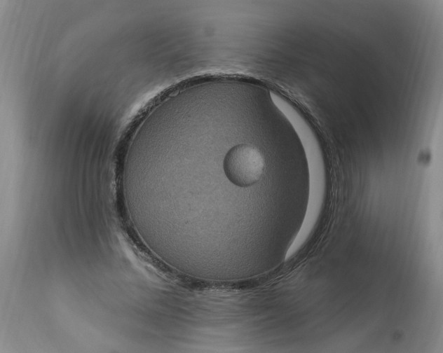 X0000113230684200910011409