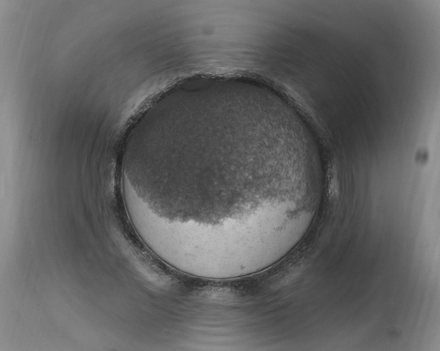 X0000113230685200910011409