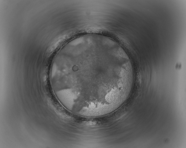 X0000113230687200910011409