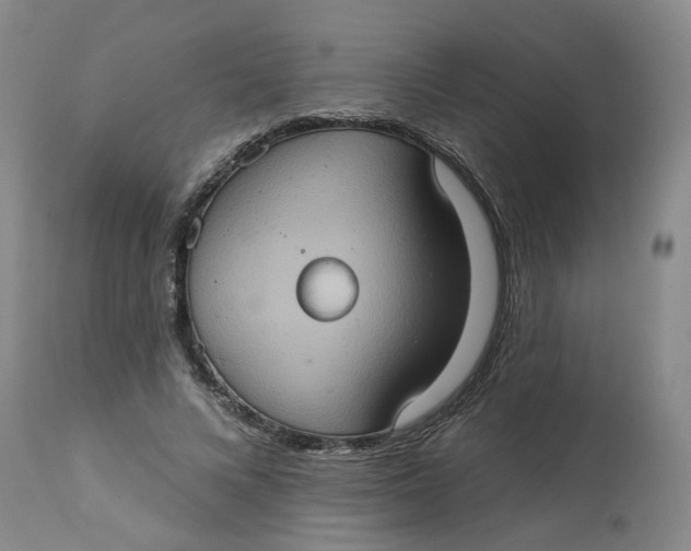 X0000113230688200910011409