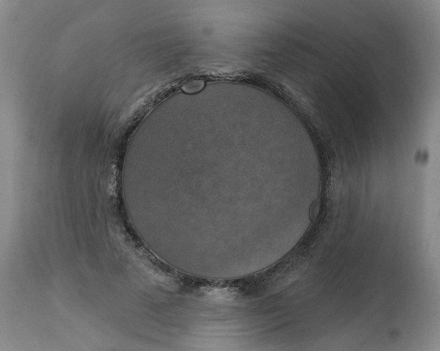 X0000113230689200910011409