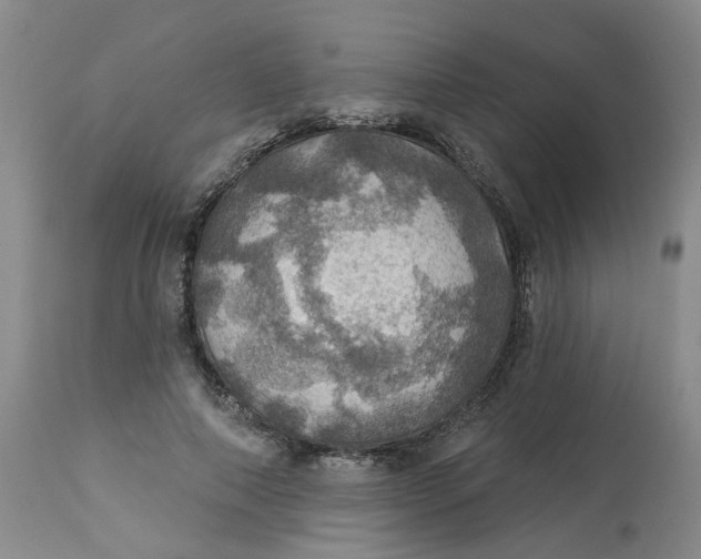 X0000113230690200910011409