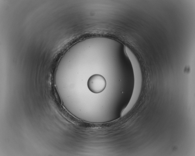 X0000113230692200910011409