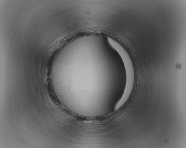 X0000113230693200910011409