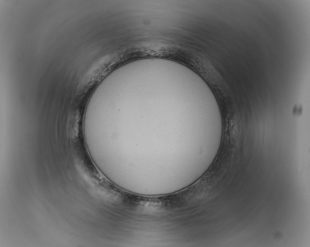 X0000113230694200910011409