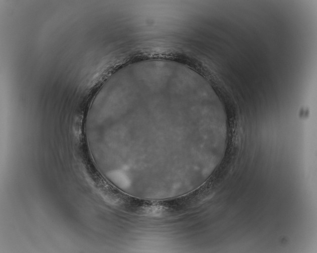 X0000113230695200910011409