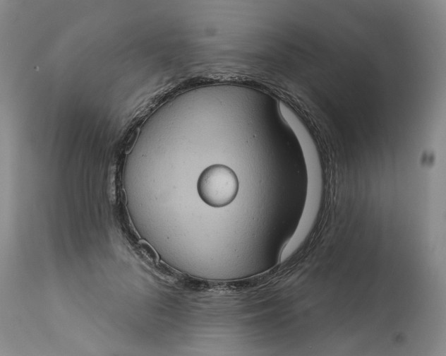 X0000113230696200910011409